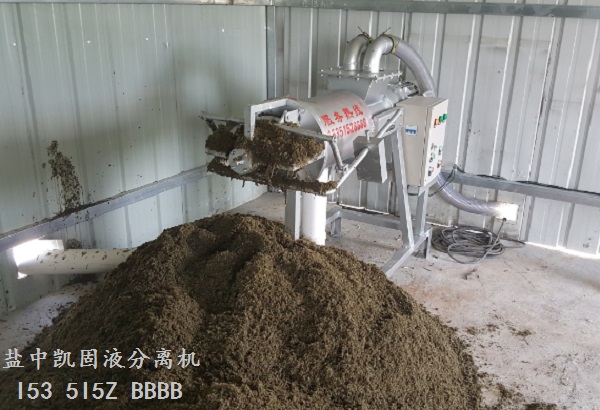 麻豆影视在线直播视频