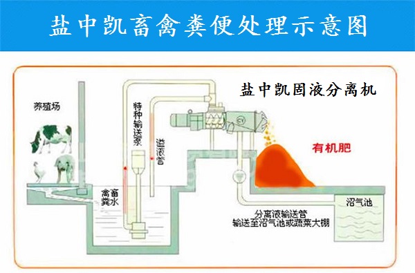 麻豆上床视频