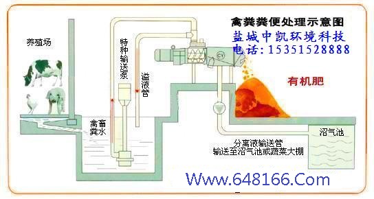 麻豆影视在线直播视频示意图